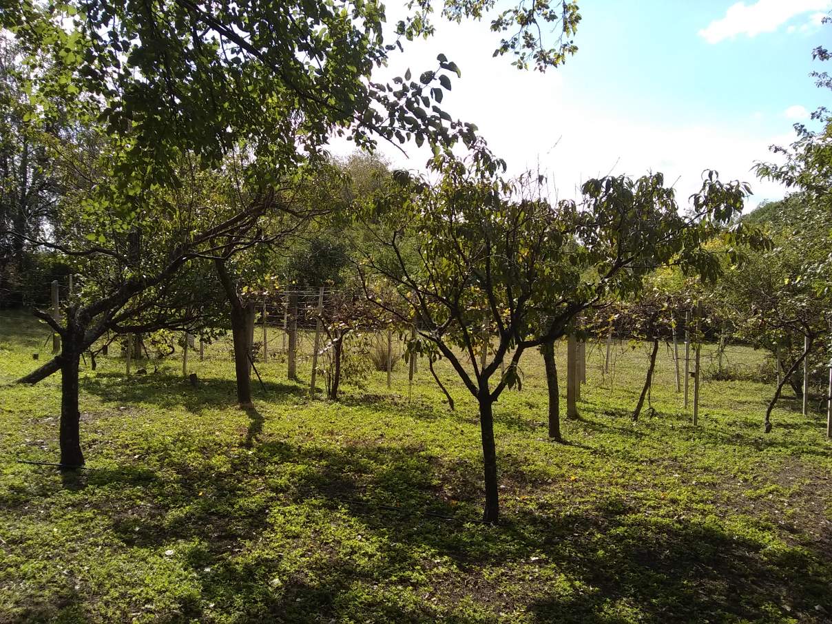 vendo casa quinta en los molles (la granja)