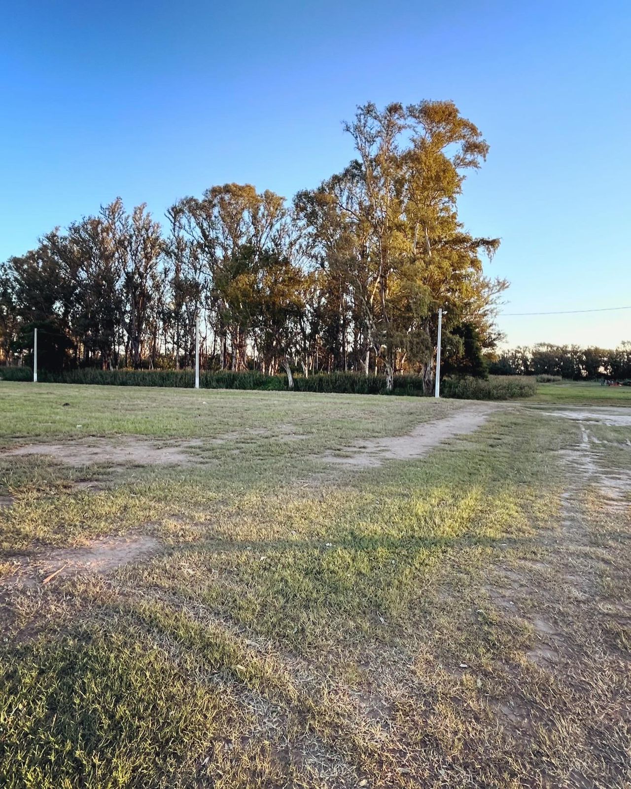 Venta TERRENO 20x50m en General Fotheringham