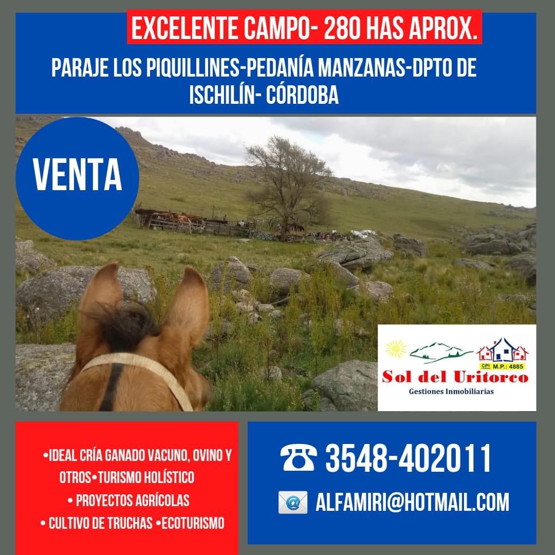 VENTA EXCELENTE CAMPO-PARAJE LOS PIQUILLINES-LAS MANZANAS-DPTO DE ISCHILÍN