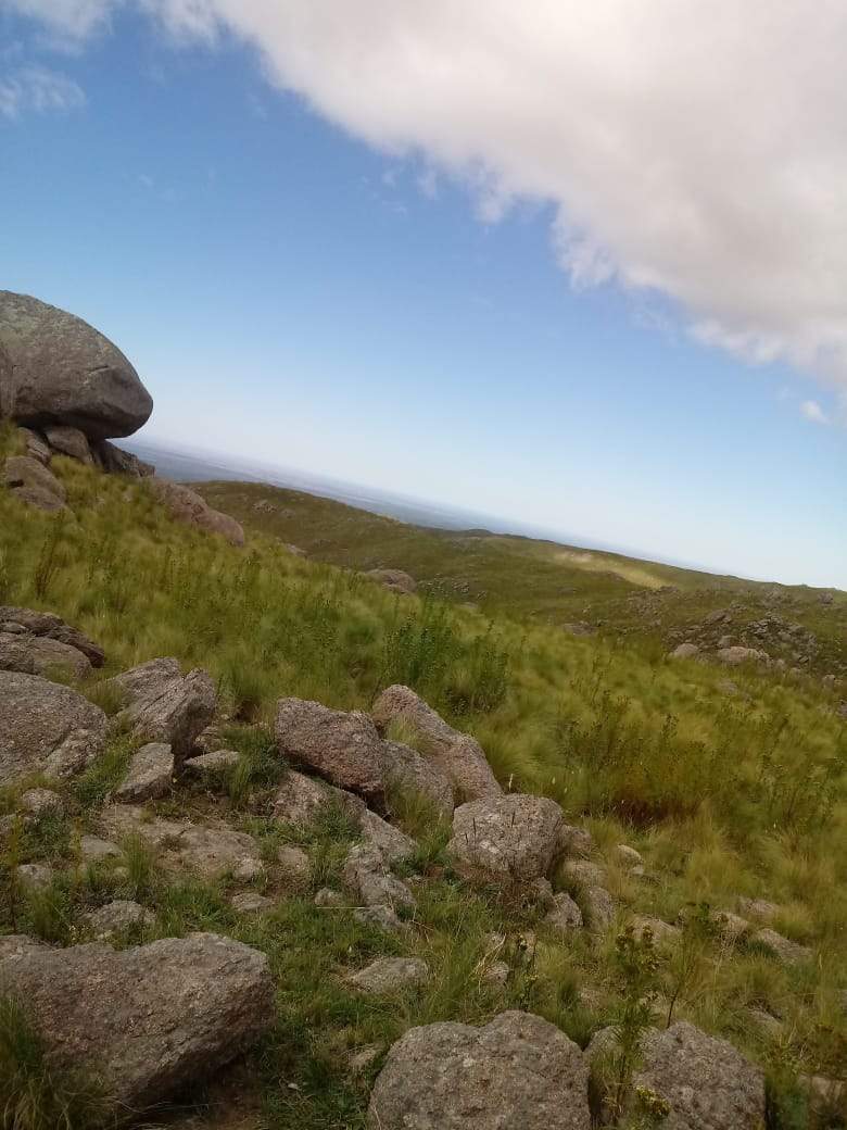 VENTA EXCELENTE CAMPO-PARAJE LOS PIQUILLINES-LAS MANZANAS-DPTO DE ISCHILÍN