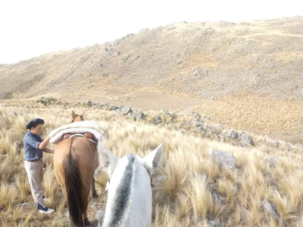 VENTA EXCELENTE CAMPO-PARAJE LOS PIQUILLINES-LAS MANZANAS-DPTO DE ISCHILÍN