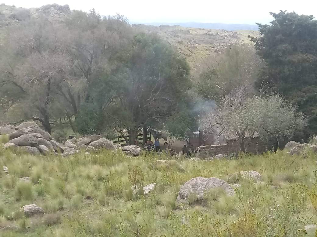 VENTA EXCELENTE CAMPO-PARAJE LOS PIQUILLINES-LAS MANZANAS-DPTO DE ISCHILÍN