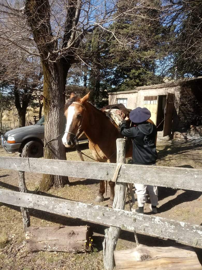 VENTA EXCELENTE CAMPO-PARAJE LOS PIQUILLINES-LAS MANZANAS-DPTO DE ISCHILÍN