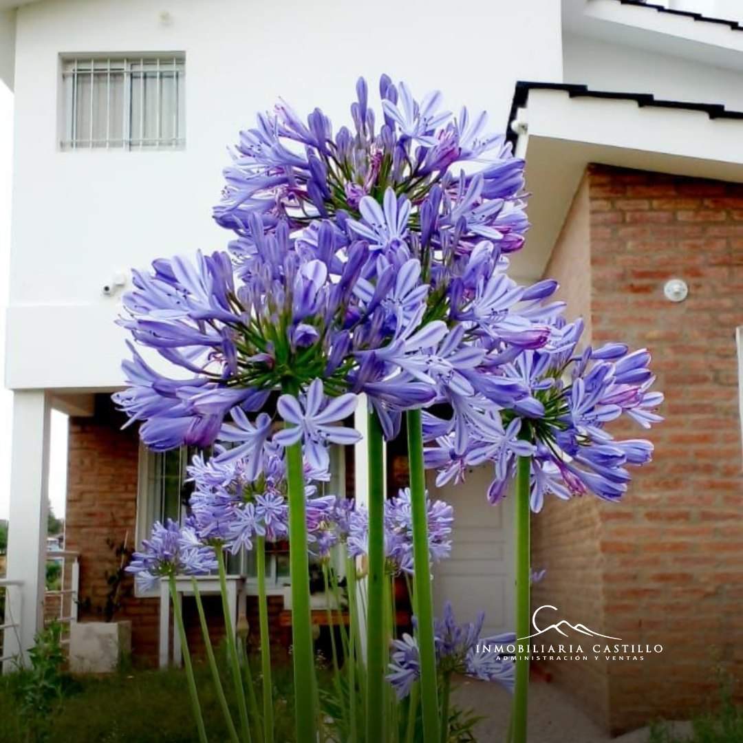 Casa en Venta Estancia Vieja