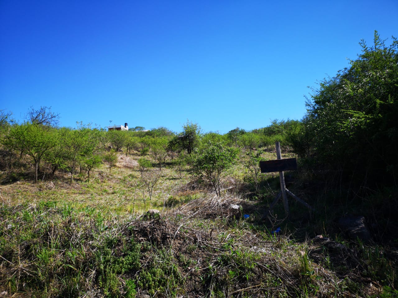 LOTE EN VENTA SALSIPUEDES