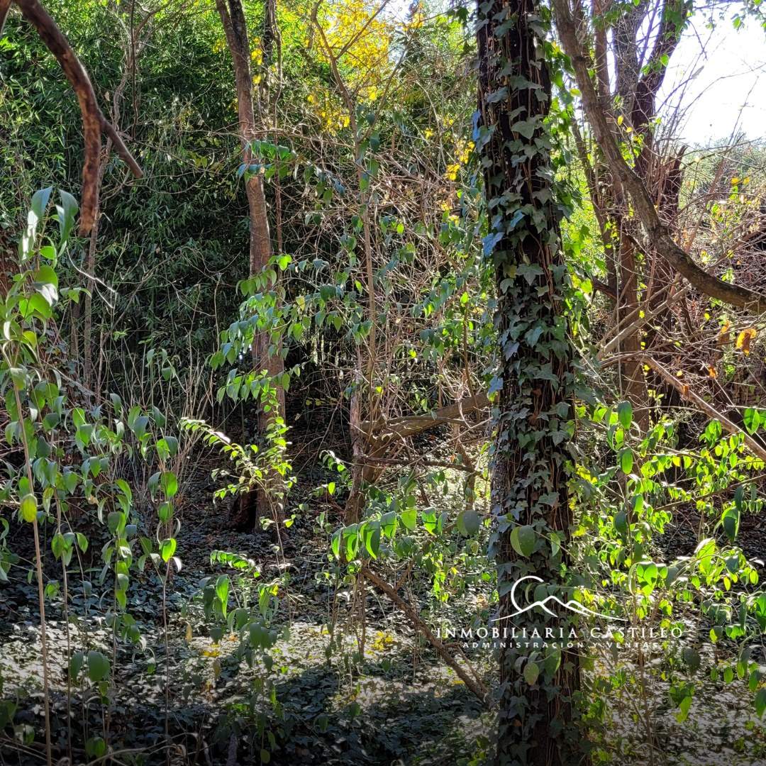 LOTE EN VENTA RIO CEBALLOS