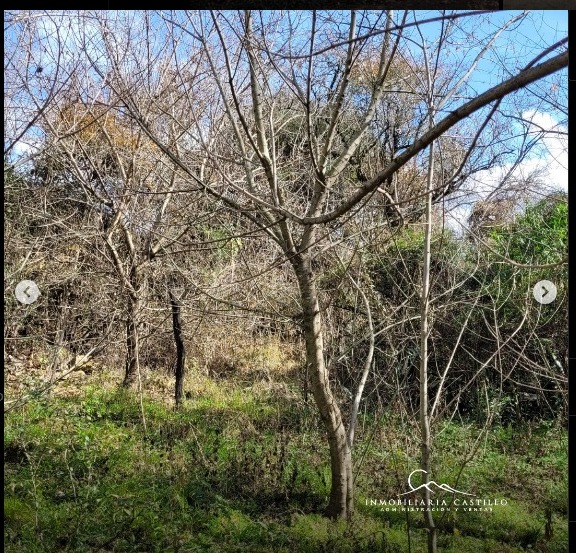 LOTE EN VENTA RIO CEBALLOS