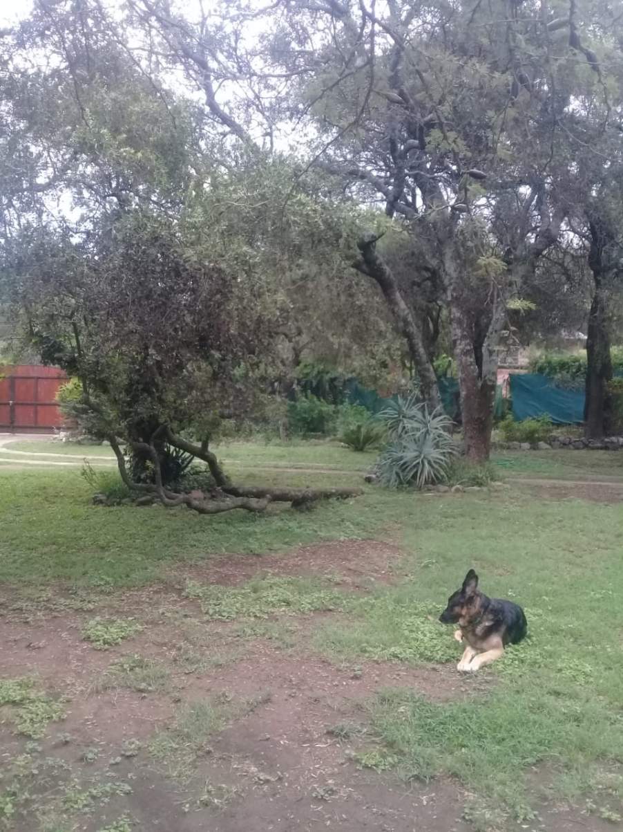 VENDO OPORTUNIDAD, LOTE EXCELENTE UBICACION EN BARRIO TALAR, MENDIOLAZA... MUY BUEN ENTORNO!!!