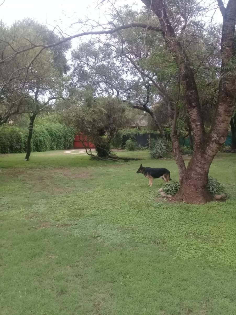 VENDO OPORTUNIDAD, LOTE EXCELENTE UBICACION EN BARRIO TALAR, MENDIOLAZA... MUY BUEN ENTORNO!!!