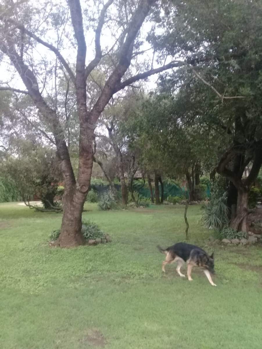 VENDO OPORTUNIDAD, LOTE EXCELENTE UBICACION EN BARRIO TALAR, MENDIOLAZA... MUY BUEN ENTORNO!!!