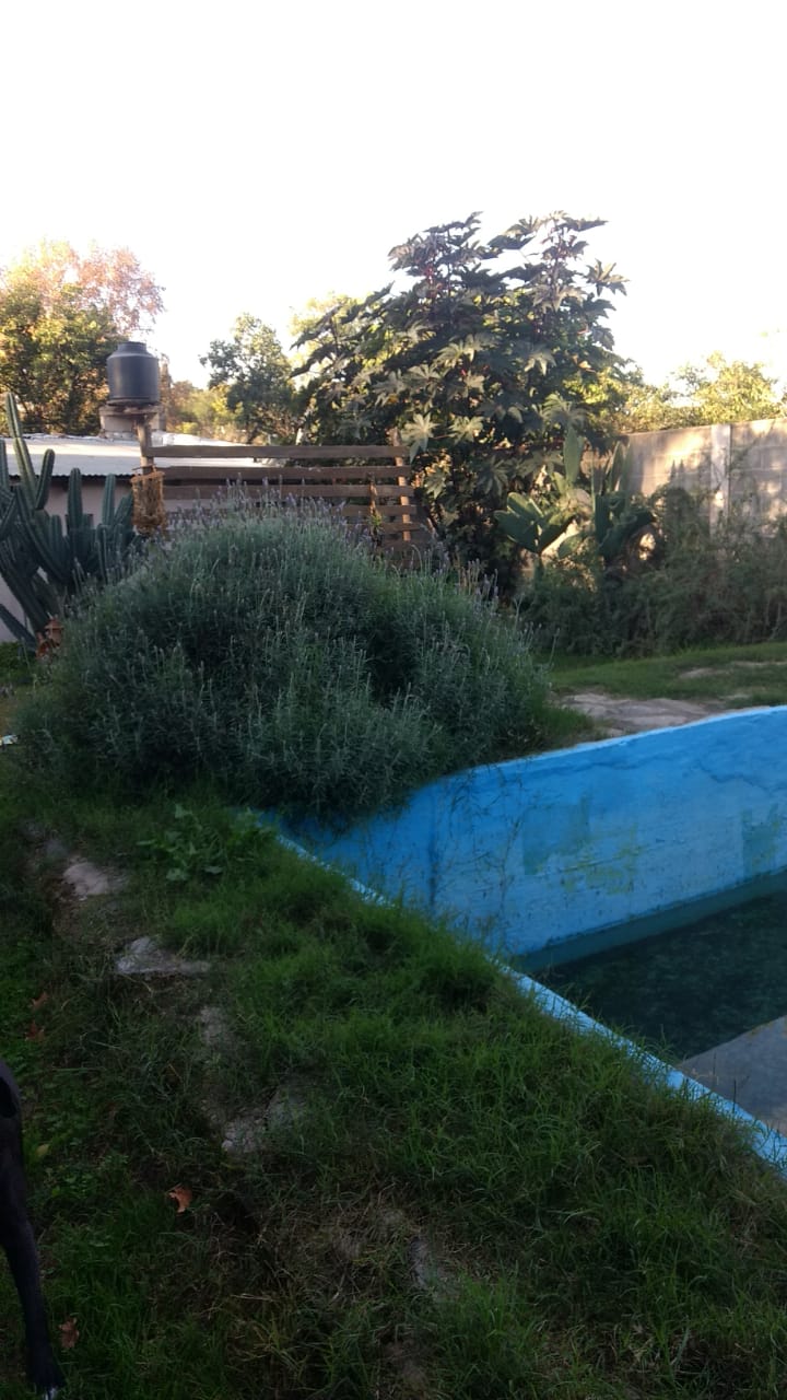 VENDO OPORTUNIDAD!! CASA EN UNQUILLO A POCAS CUADRAS DEL CENTRO SOBRE ASFALTO, MUY BUENA ZONA!!
