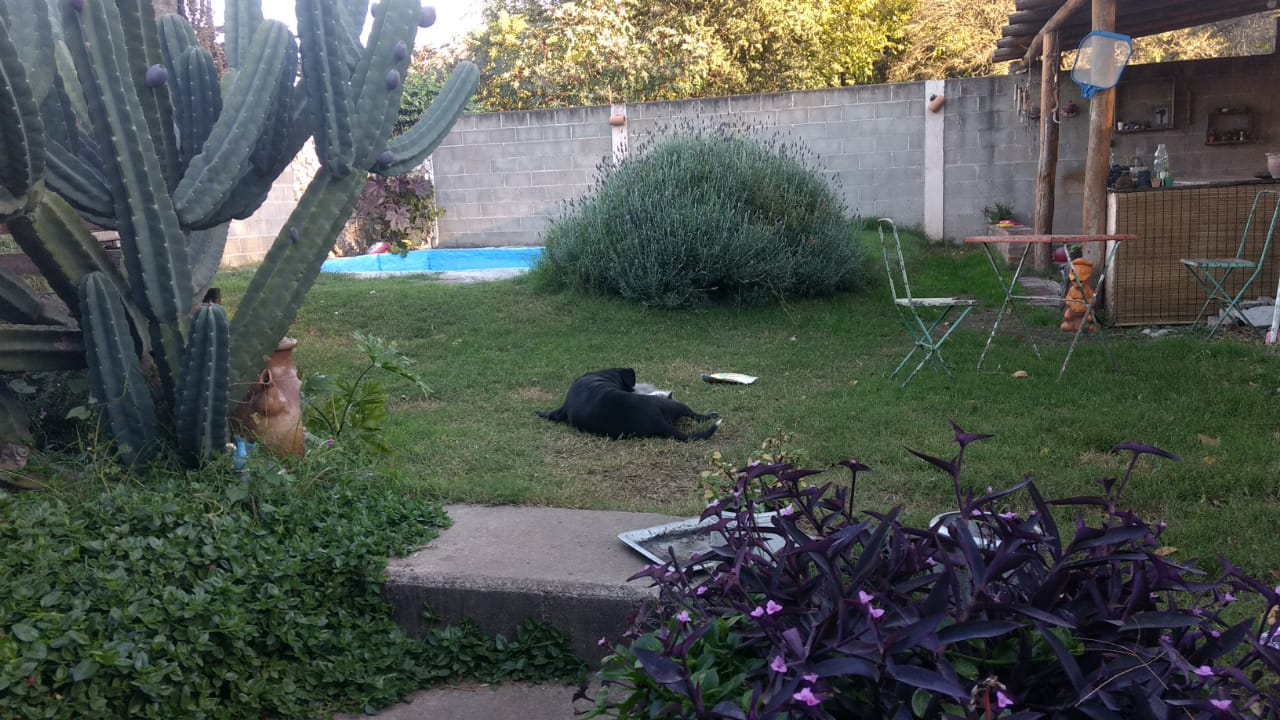 VENDO OPORTUNIDAD!! CASA EN UNQUILLO A POCAS CUADRAS DEL CENTRO SOBRE ASFALTO, MUY BUENA ZONA!!