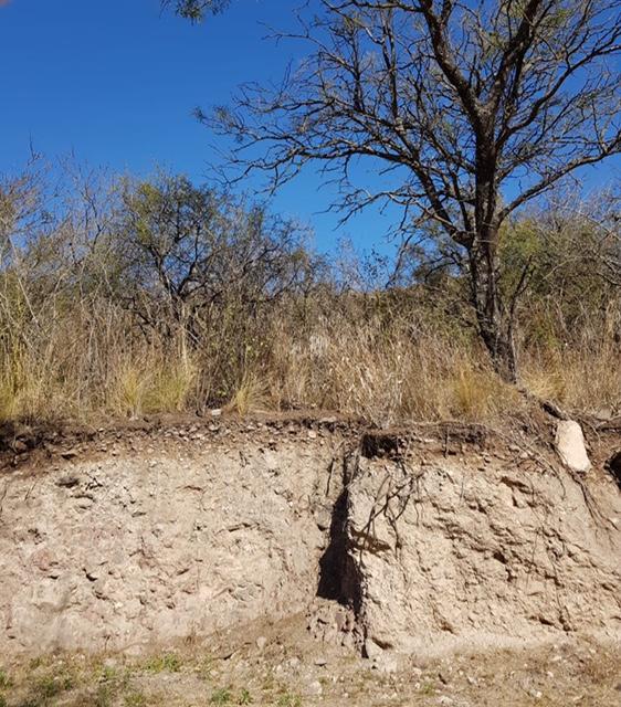 VENDO LOTE EN LA DESEADA