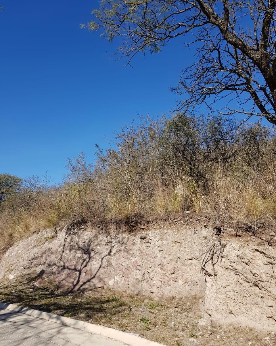 VENDO LOTE EN LA DESEADA