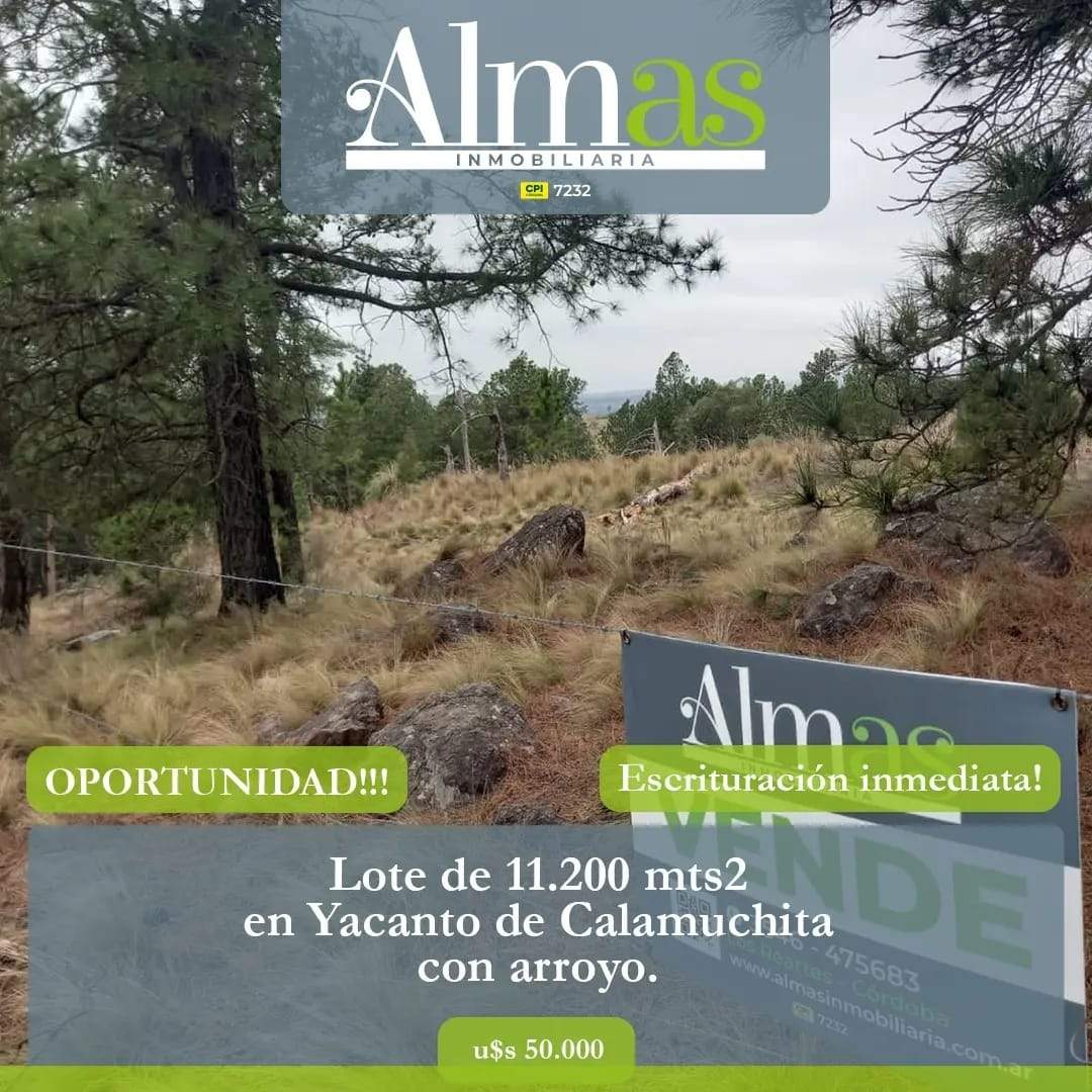 Venta de lote de 11082mts2, con arroyo y vertiente