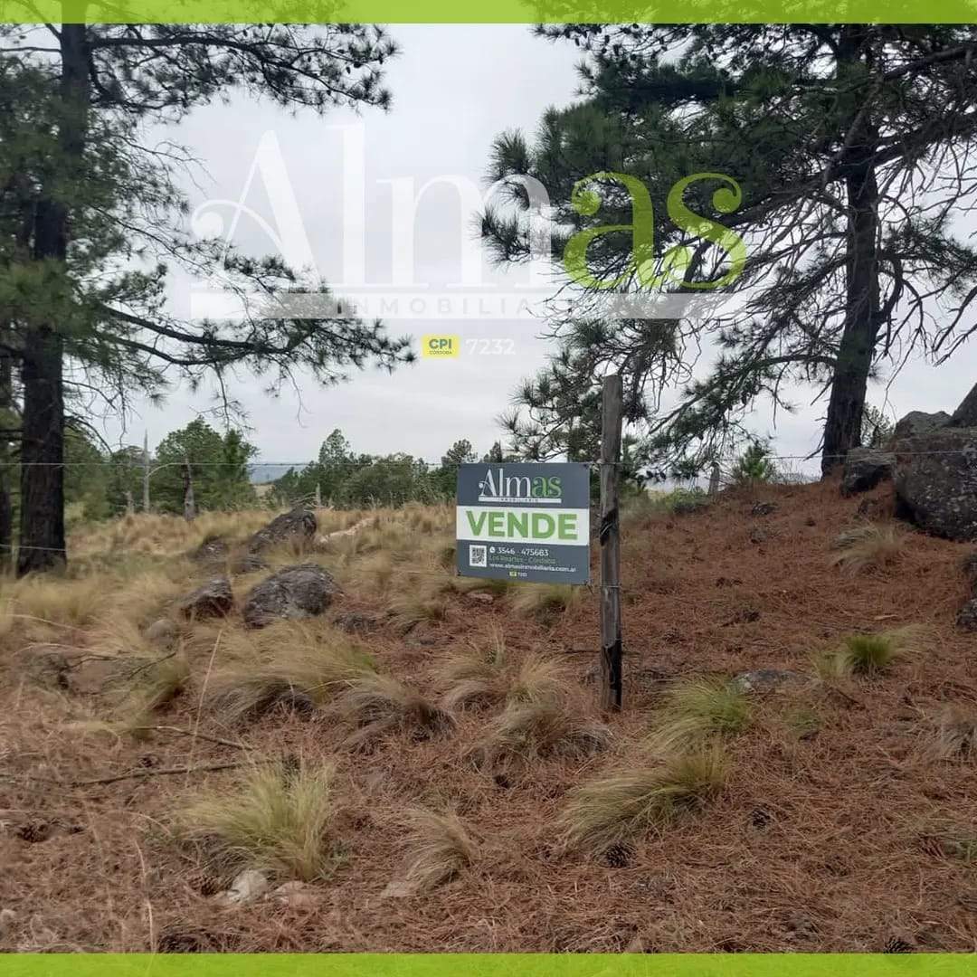 Venta de lote de 11082mts2, con arroyo y vertiente