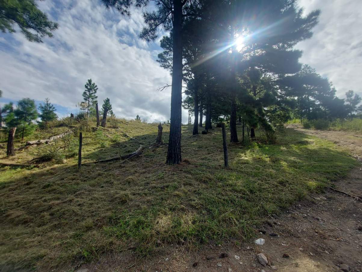 Venta de lote de 11082mts2, con arroyo y vertiente