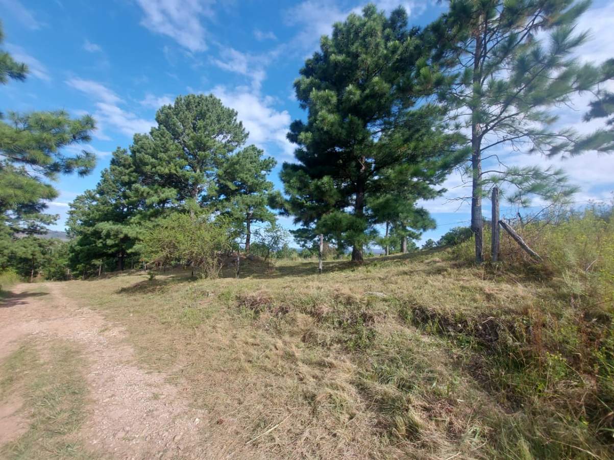 Venta de lote de 11082mts2, con arroyo y vertiente
