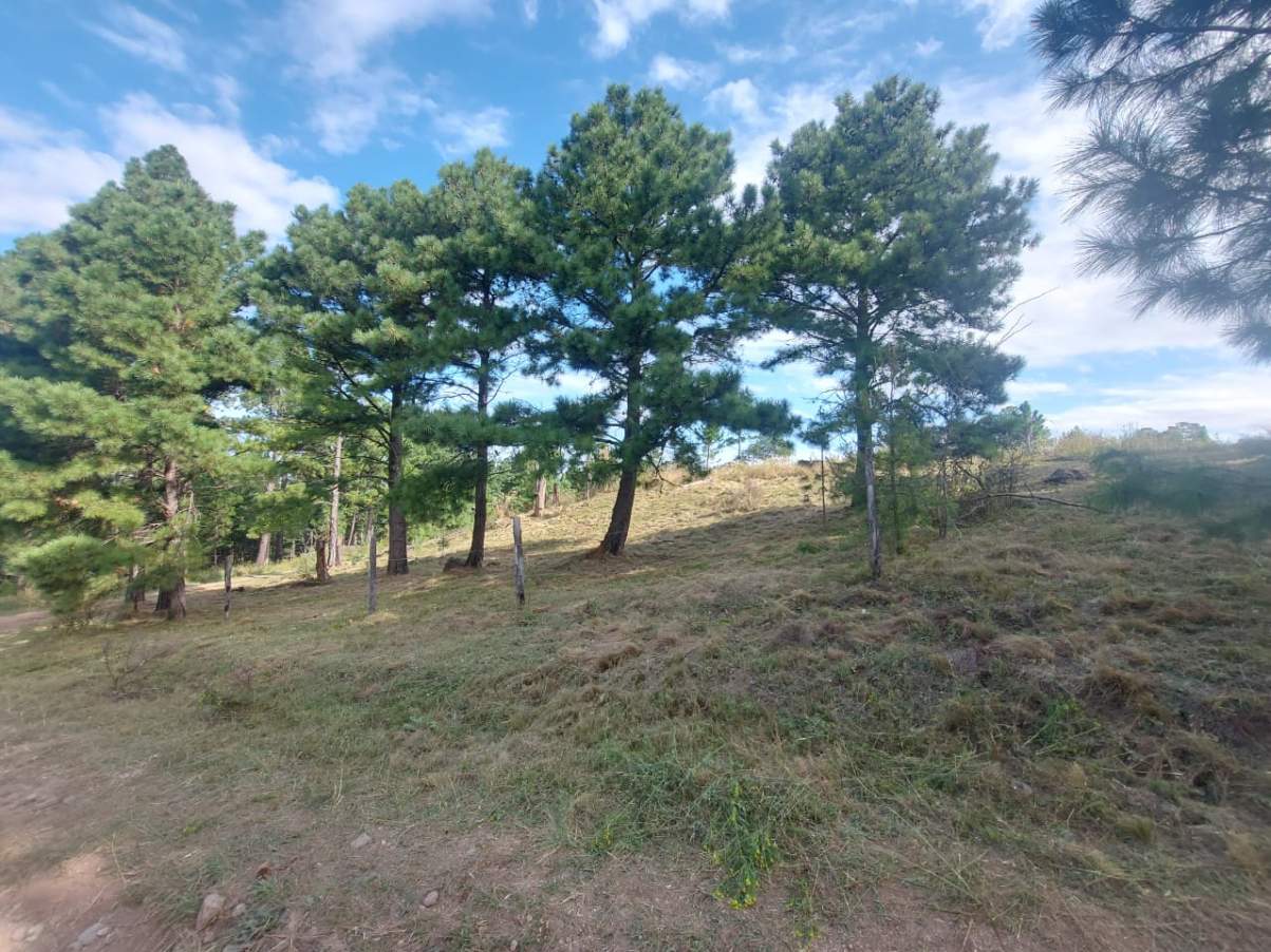 Venta de lote de 11082mts2, con arroyo y vertiente