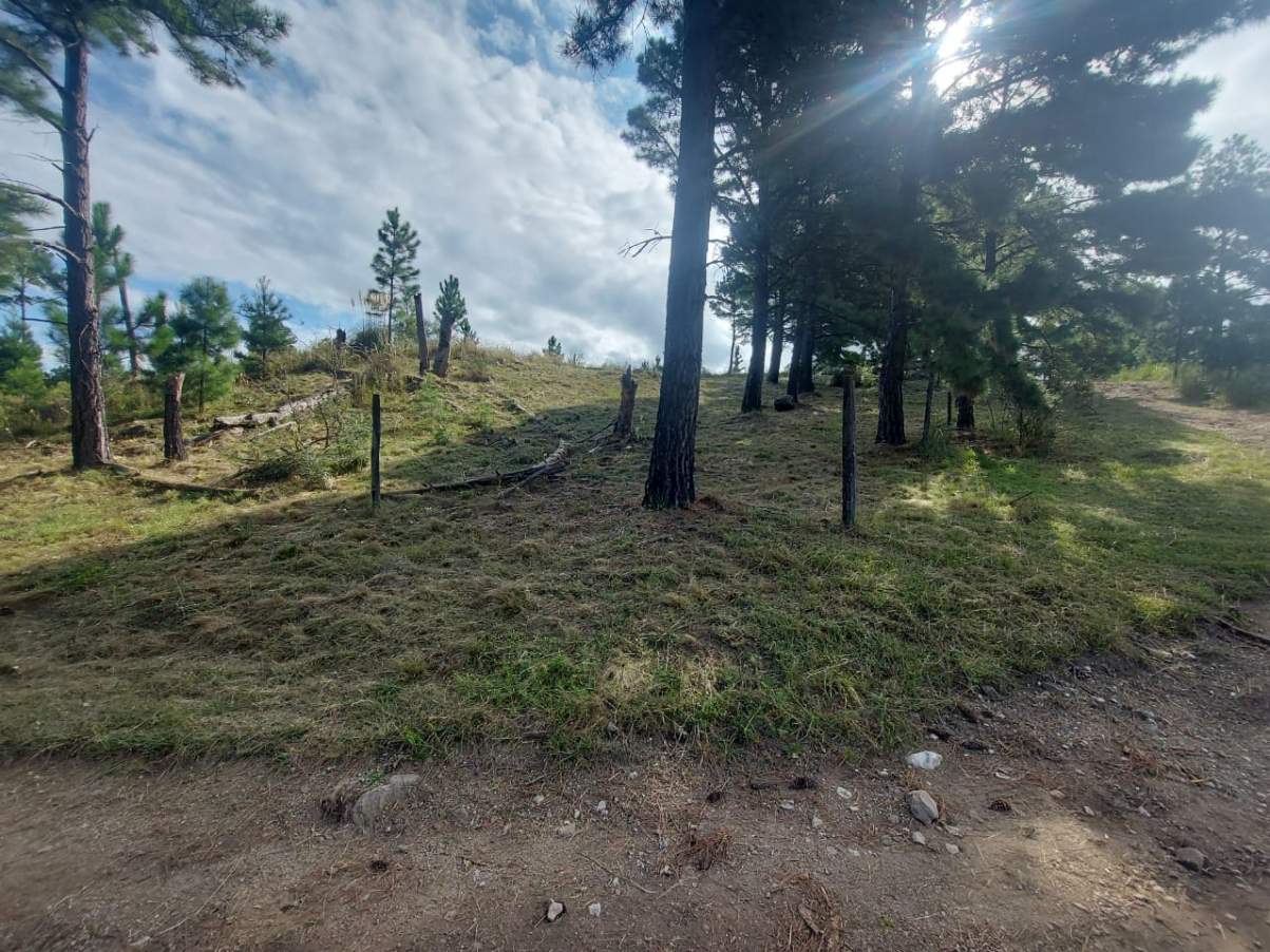 Venta de lote de 11082mts2, con arroyo y vertiente
