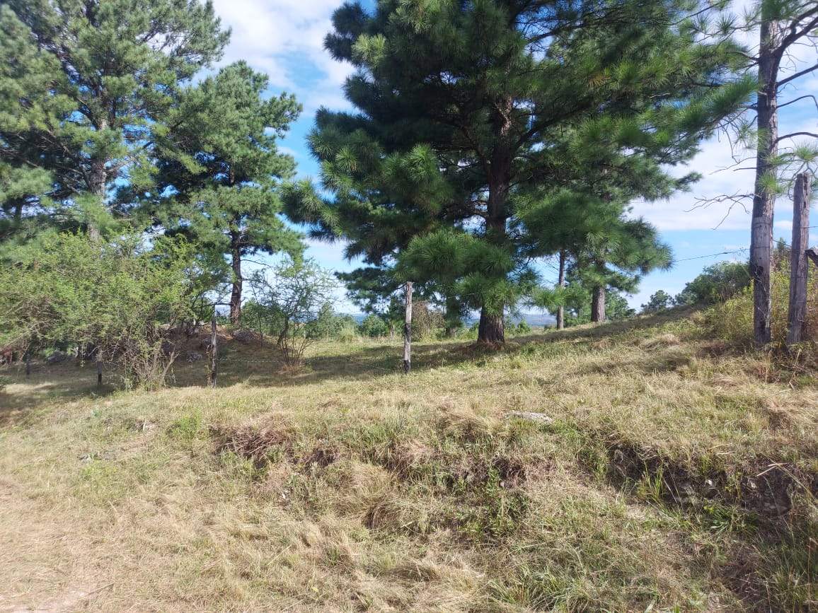 Venta de lote de 11082mts2, con arroyo y vertiente