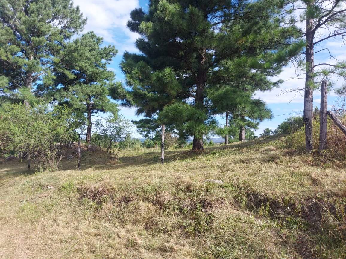 Venta de lote de 11082mts2, con arroyo y vertiente