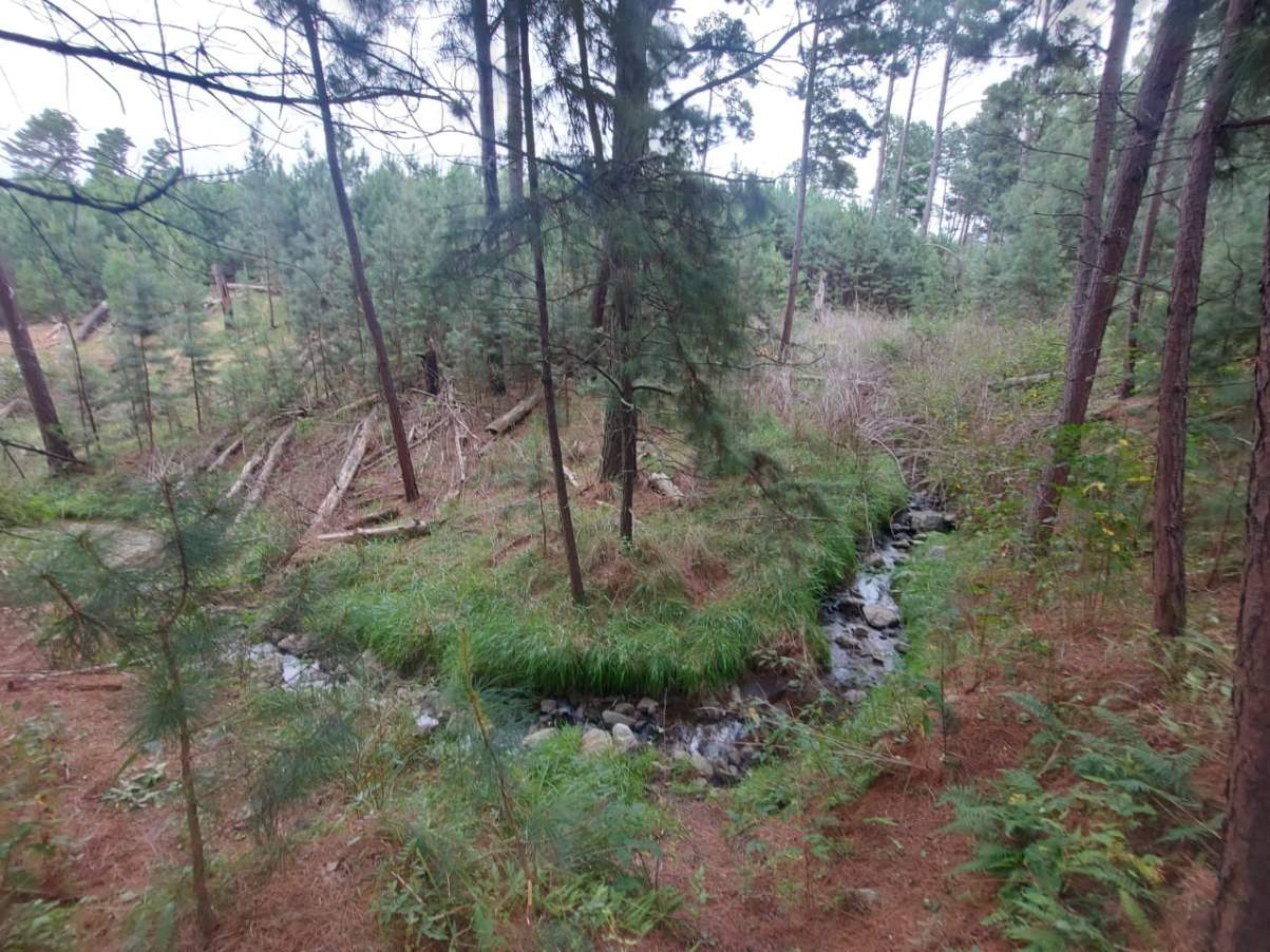 Venta de lote de 11082mts2, con arroyo y vertiente