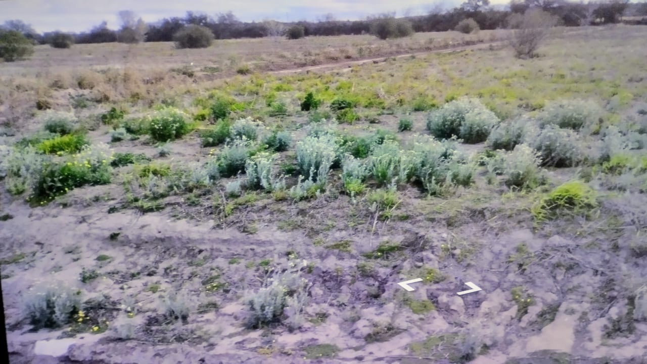 Vendo lote 3 de la manzana 50,de barrio La Docta, superficie 300,00Mts2.