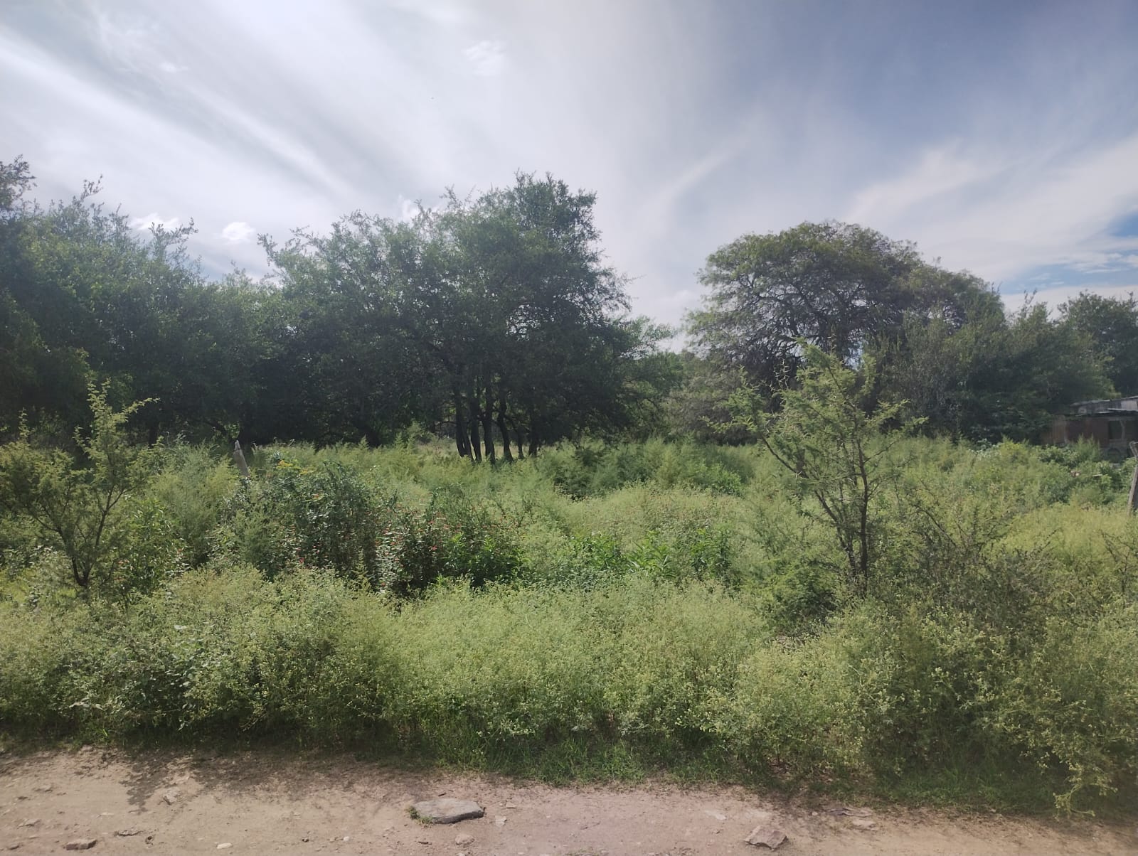 TERRENOLOTE EN VENTA SAN JOSÉ DE LA QUINTANA - Córdoba