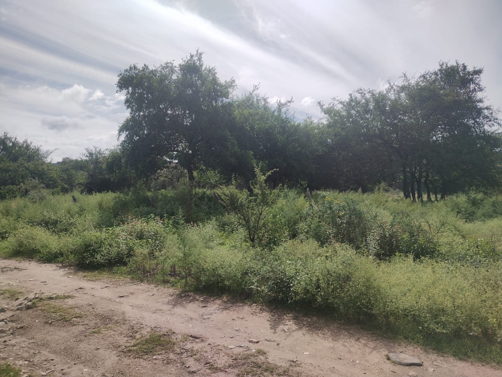 TERRENOLOTE EN VENTA SAN JOSÉ DE LA QUINTANA - Córdoba