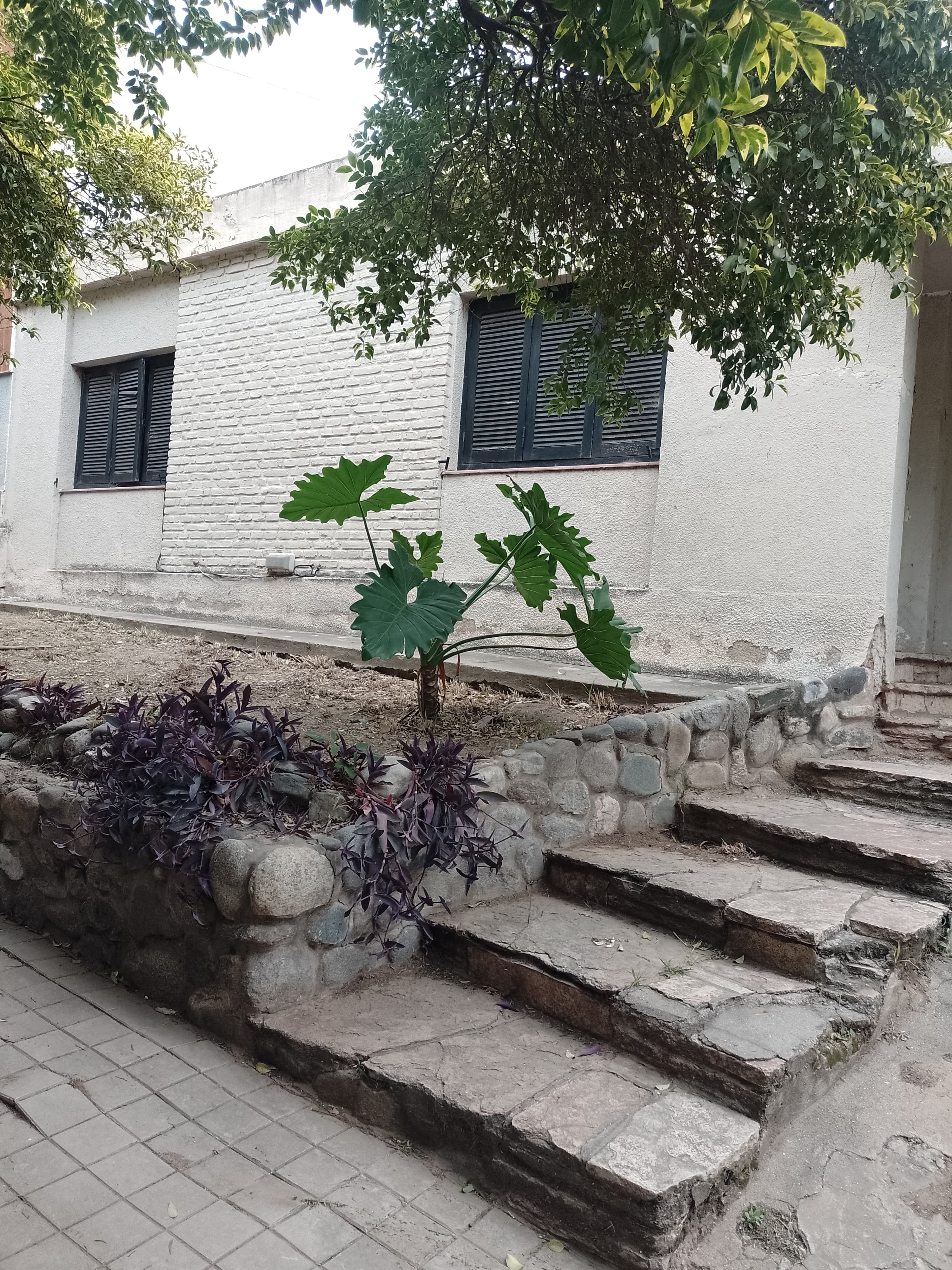 Oportunidad Única: casa a refaccionar frente a un amplio parque