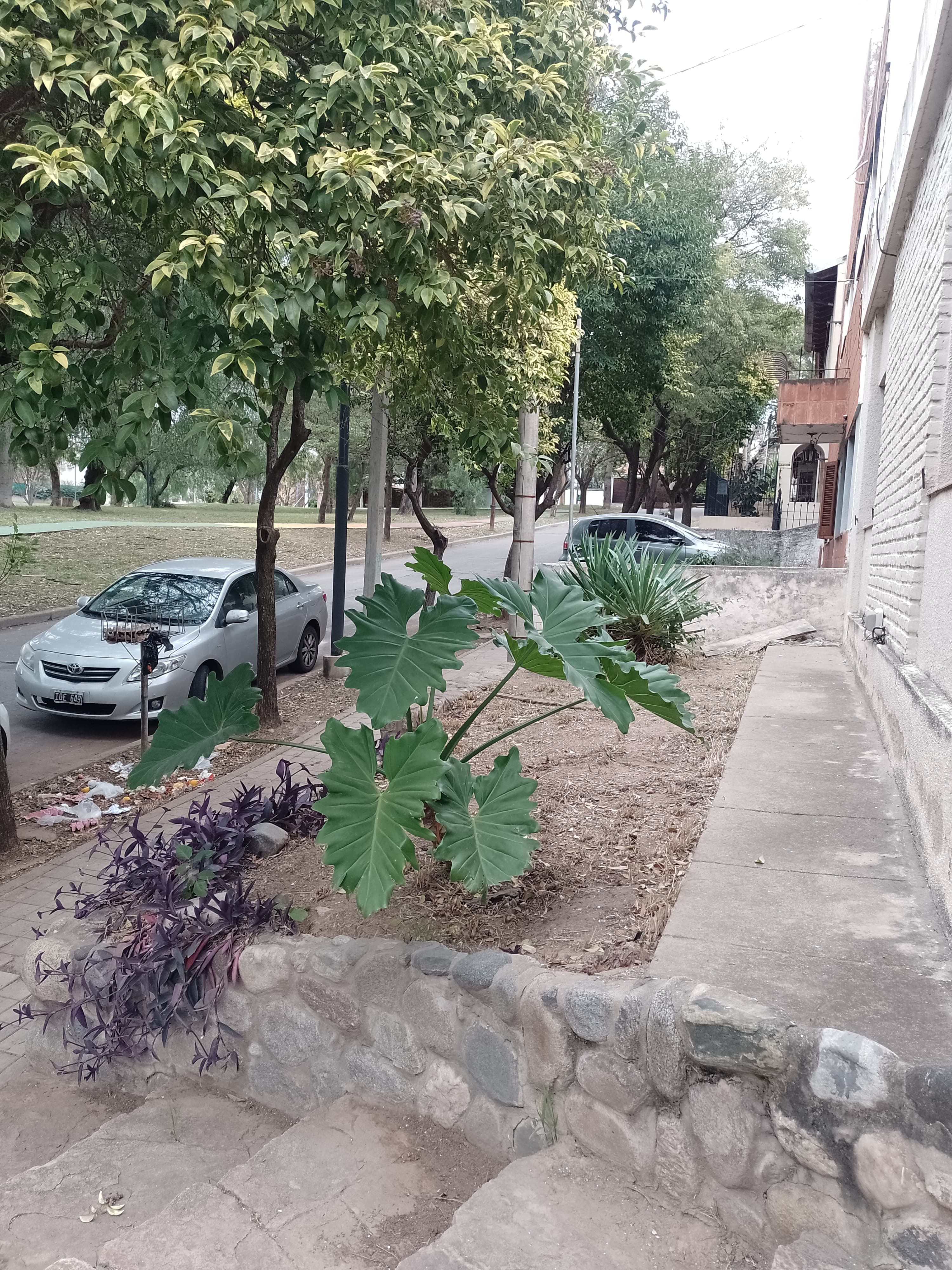 Oportunidad Única: casa a refaccionar frente a un amplio parque
