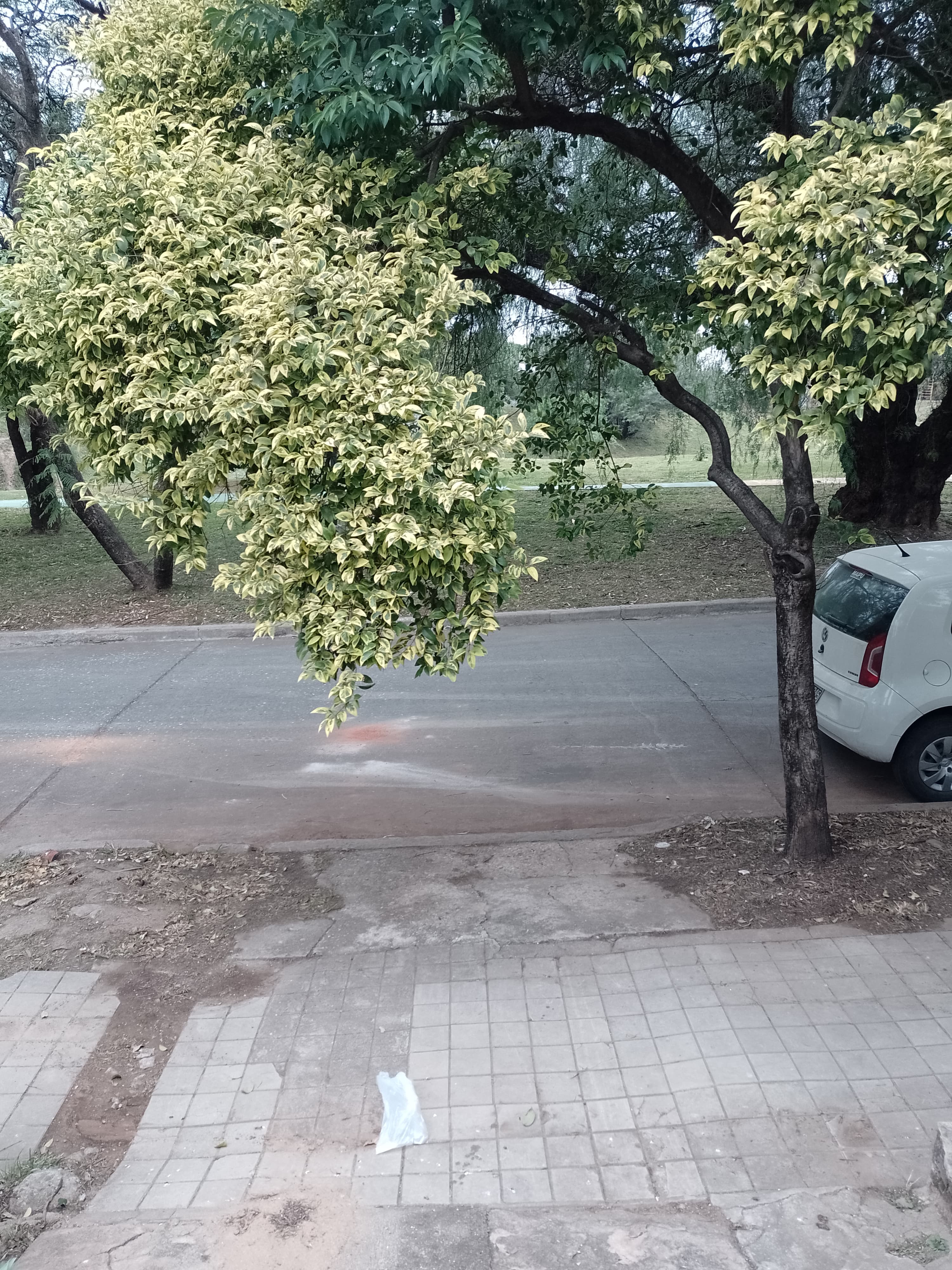 Oportunidad Única: casa a refaccionar frente a un amplio parque
