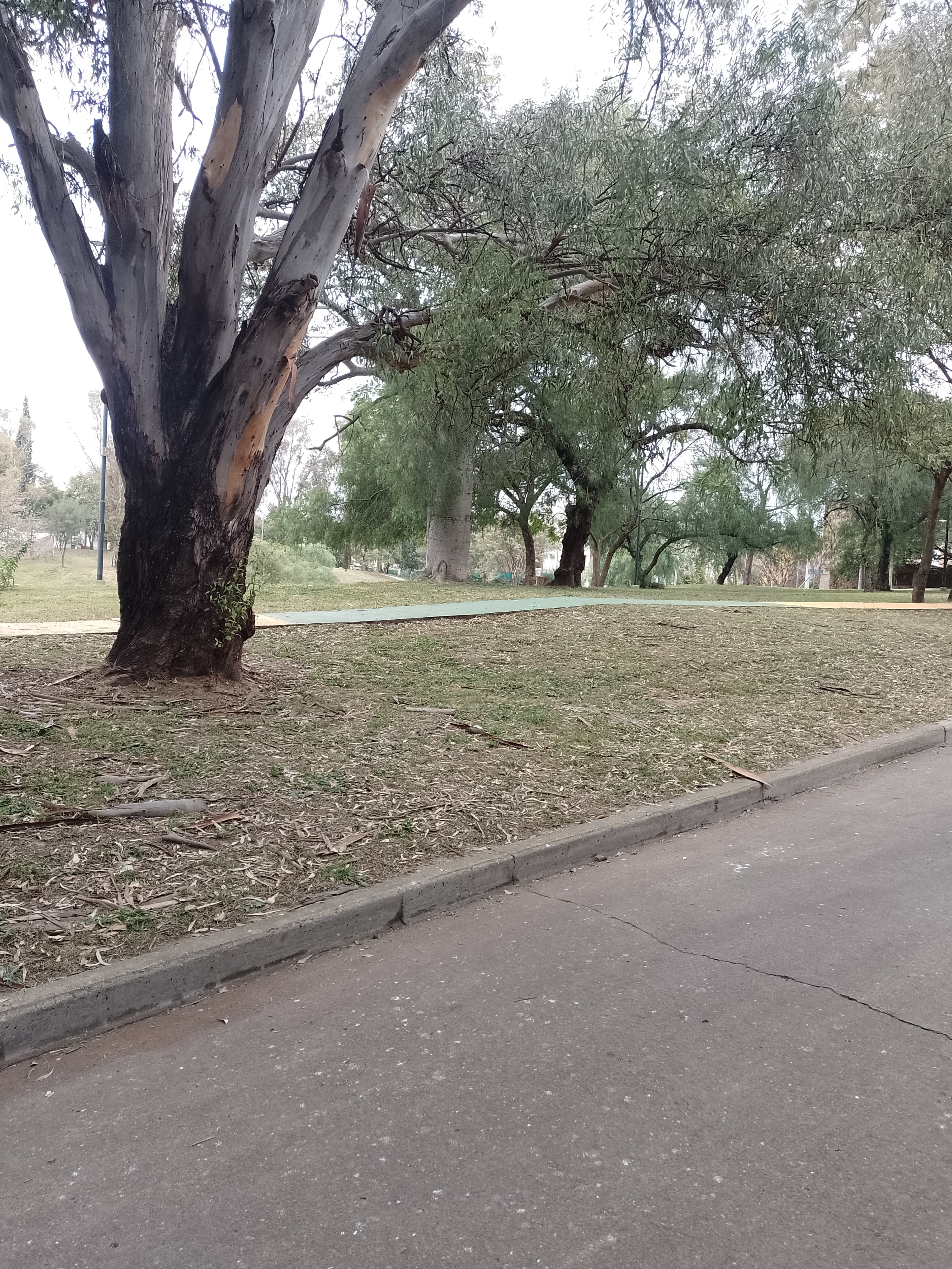 Oportunidad Única: casa a refaccionar frente a un amplio parque