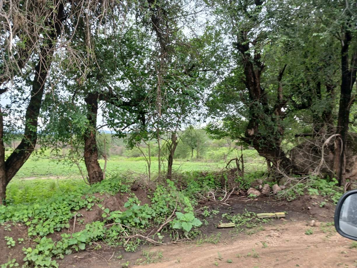 14HAS CON ARROYO SOBRE CALLE