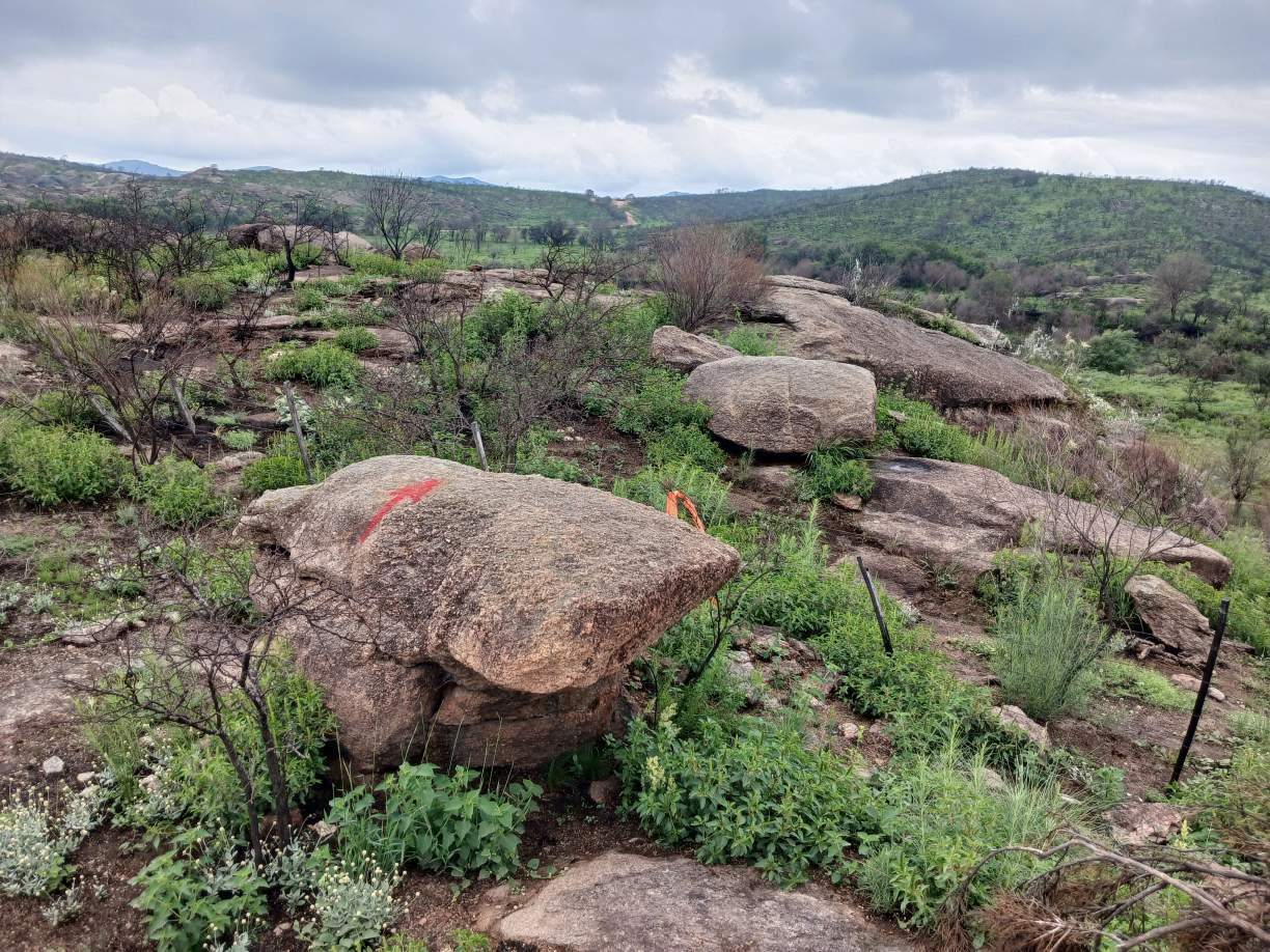 14HAS CON ARROYO SOBRE CALLE