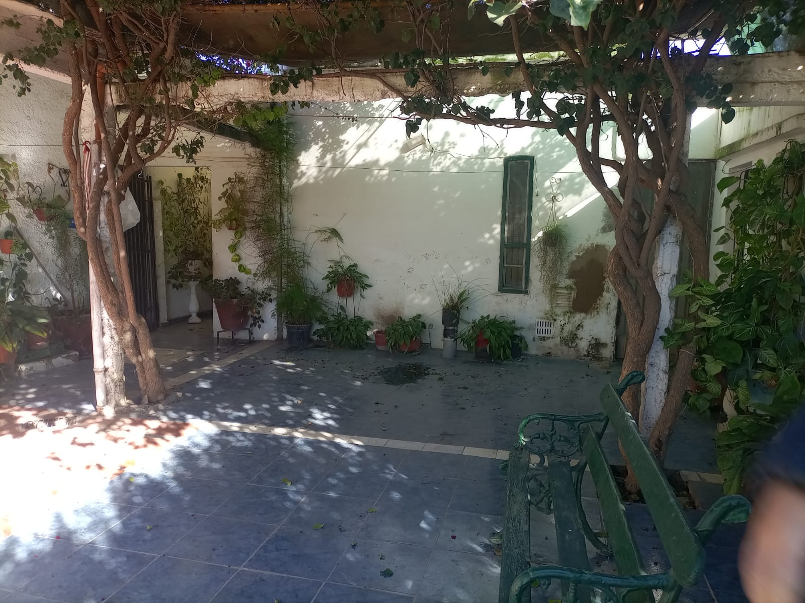 VENDO CASA EN B ALBERDI