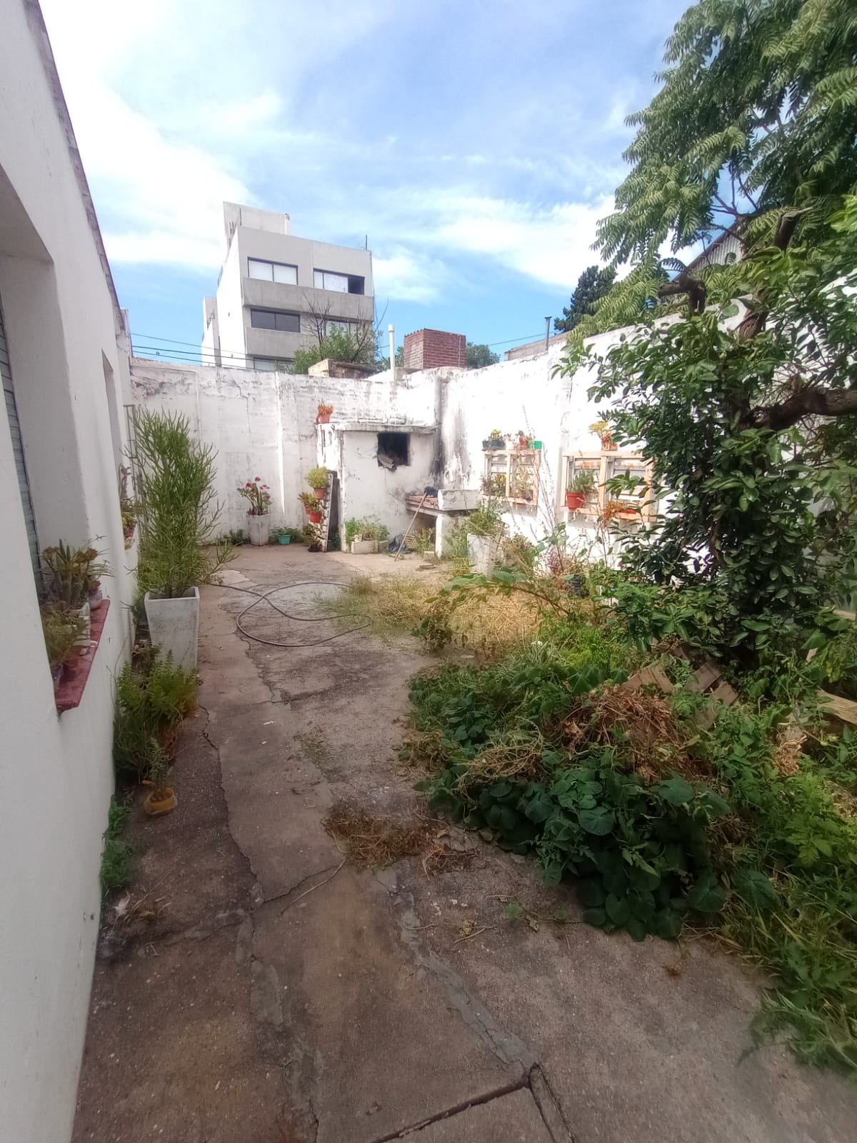 CASA DE 3 DORM. EN VENTA A MEDIA CUADRA DE AV. COLON - GARZON MACEDA 292