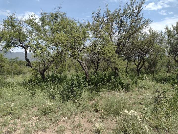 Casa en venta en Molinari-Cosquín- Vistas panorámicas