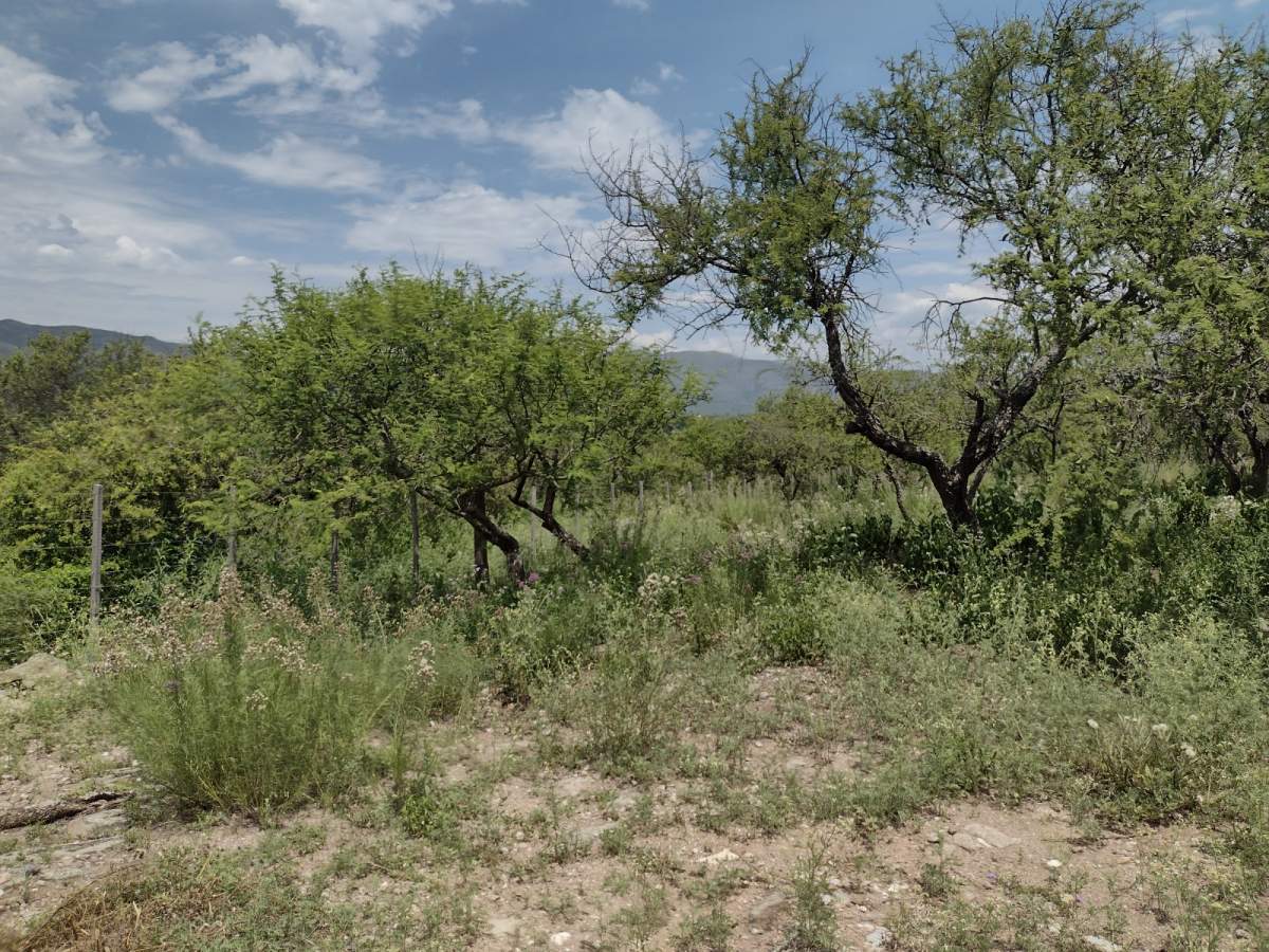 Casa en venta en Molinari-Cosquín- Vistas panorámicas