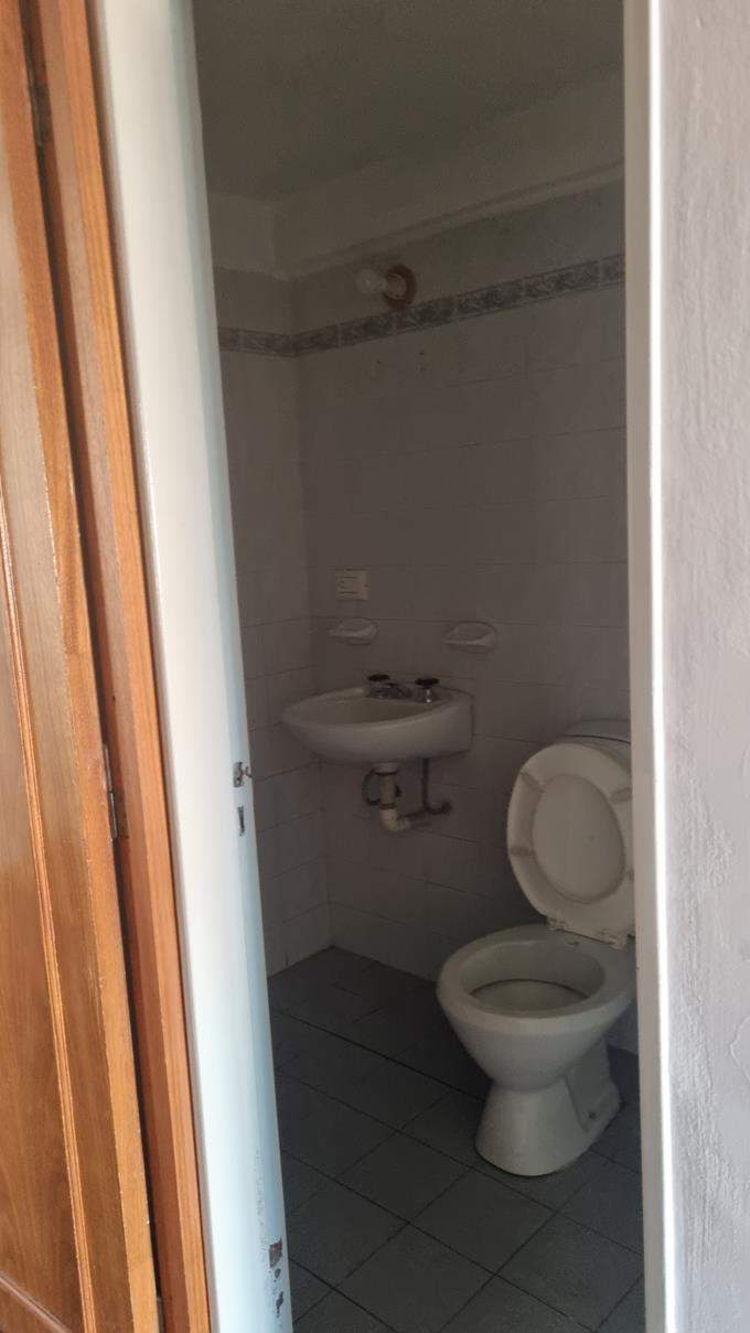 Departamento en Nueva Córdoba (Alquiler o Venta)