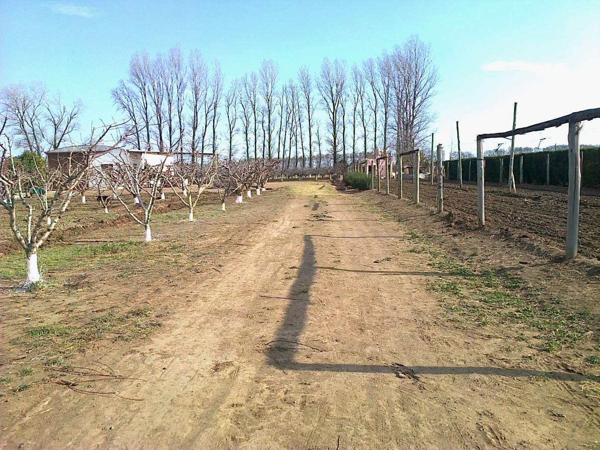 COLONIA CAROYA VENDO CAMPO C-TRABAJO