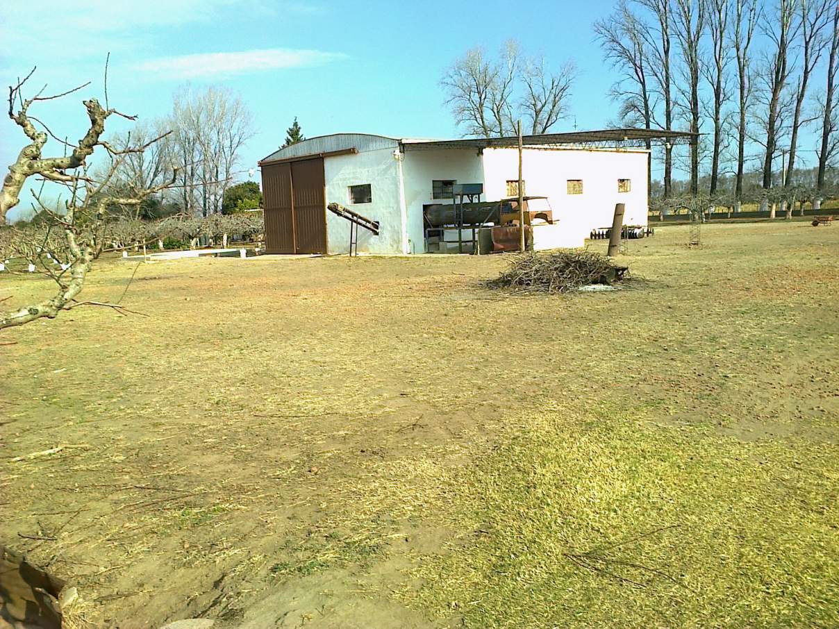 COLONIA CAROYA VENDO CAMPO C-TRABAJO