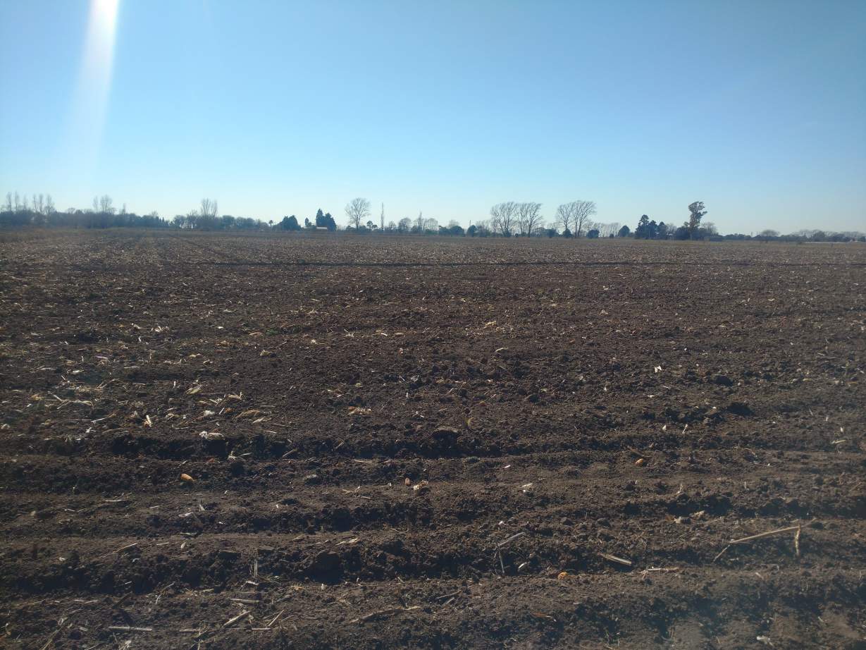 COLONIA CAROYA VENDO CAMPO C-TRABAJO