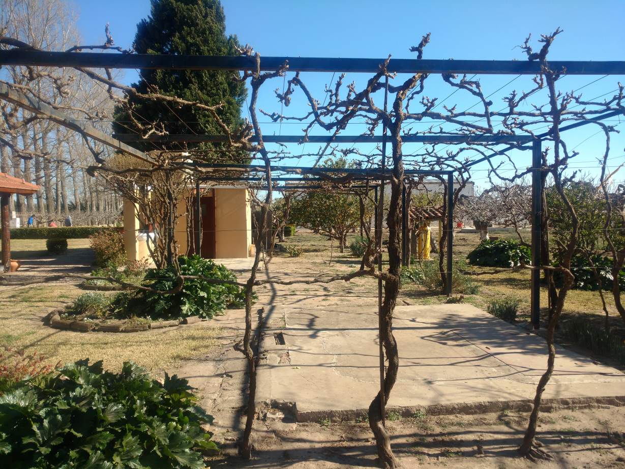 COLONIA CAROYA VENDO CAMPO C-TRABAJO