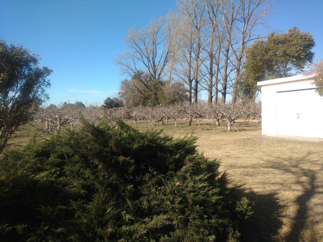 COLONIA CAROYA VENDO CAMPO C-TRABAJO