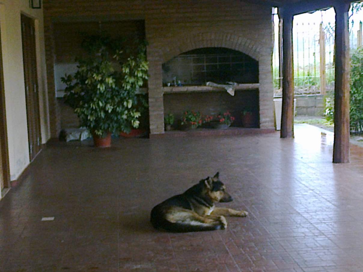 COLONIA CAROYA VENDO CAMPO C-TRABAJO