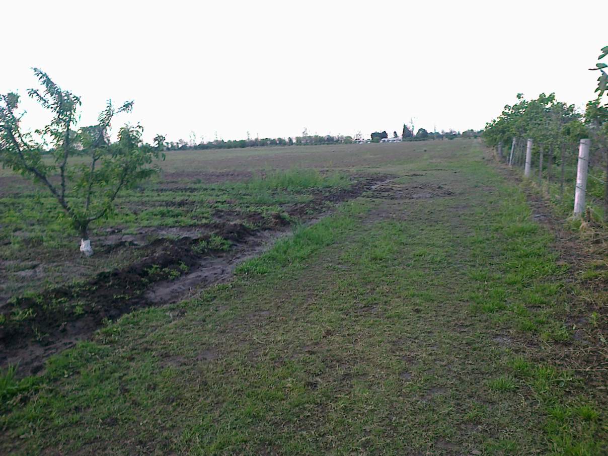 COLONIA CAROYA VENDO CAMPO C-TRABAJO