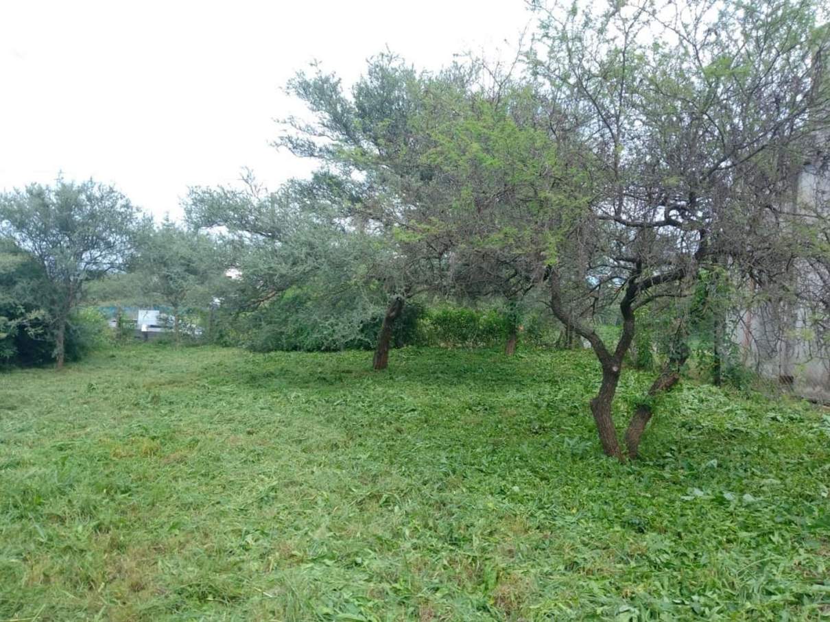 TALAR DE MENDIOLAZA  TERRENO EN VENTA