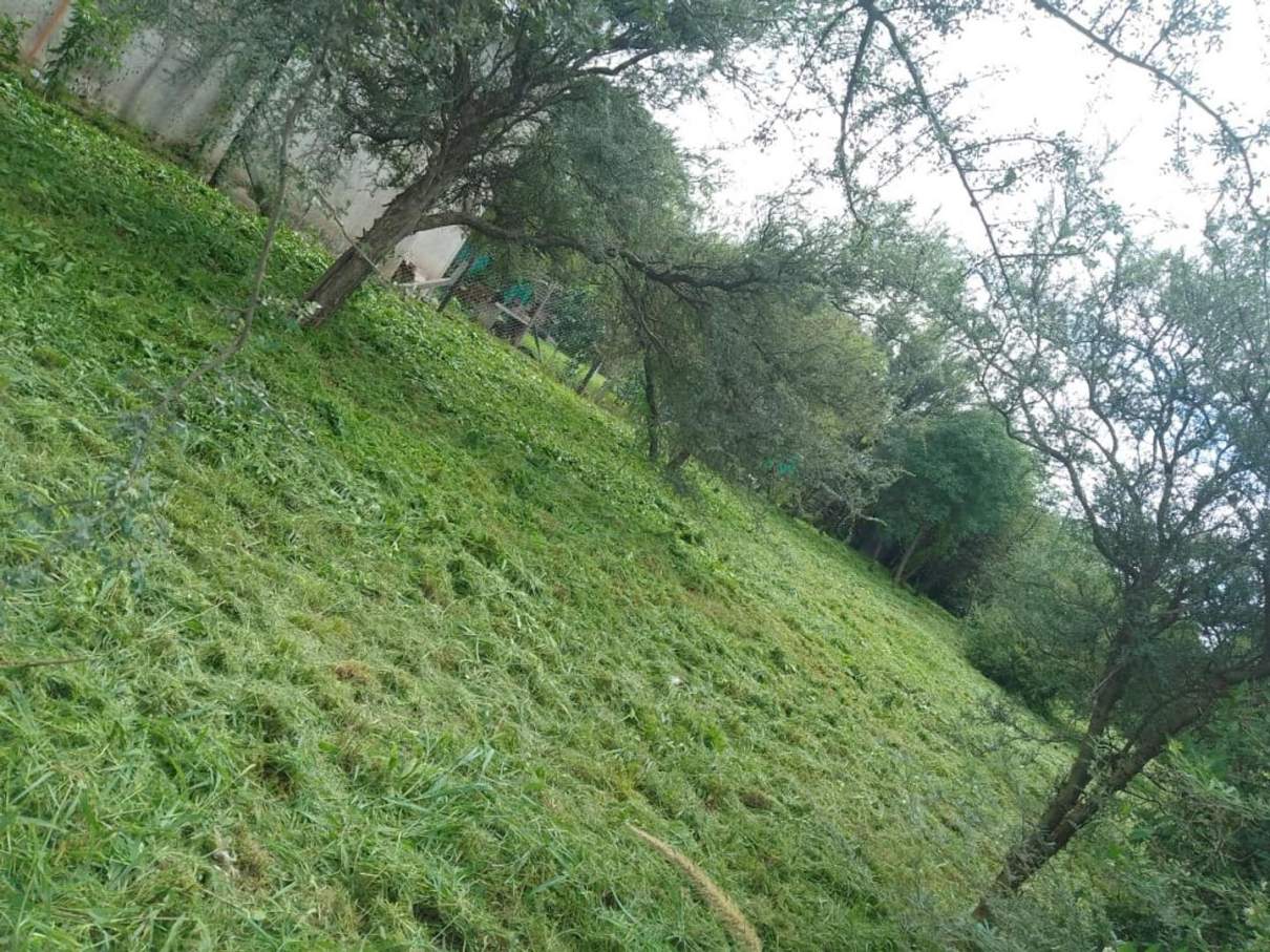 TALAR DE MENDIOLAZA  TERRENO EN VENTA